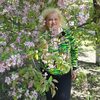 Наталья, 41, г.Ульяновск Наталья, 41, г.Ульяновск