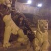 оксана, 39, г.Тура оксана, 39, г.Тура