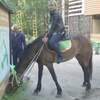 Наталья, 37, г.Новочебоксарск Наталья, 37, г.Новочебоксарск